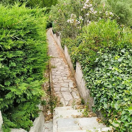 Opali Villa Kassandra