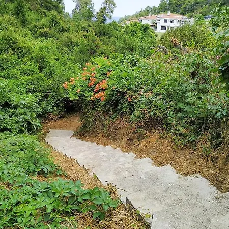 Opali Villa