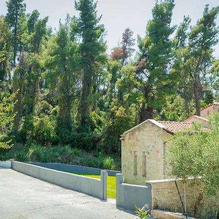 Opali Kassandra