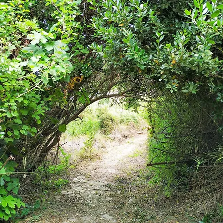 Opali Vila