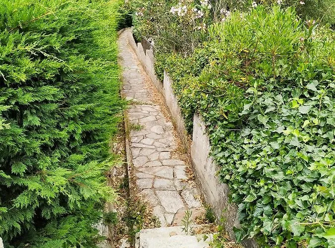 Opali Vila Kassandra